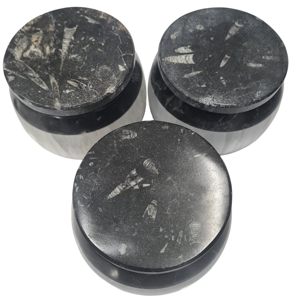 1pc 10cm Selenite and  Orthoceras and Goniatite Fossil Trinket Box