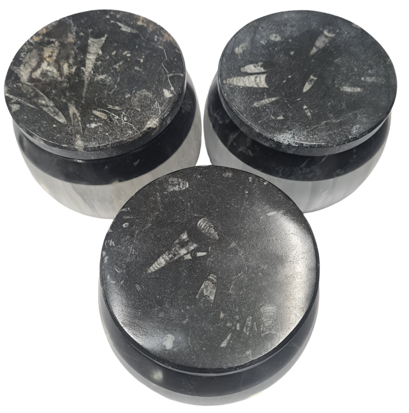 1pc 10cm Selenite and  Orthoceras and Goniatite Fossil Trinket Box