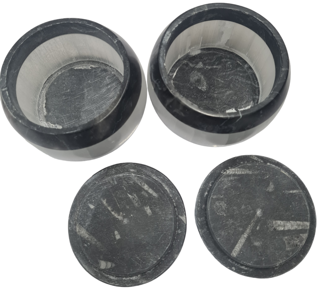 1pc 10cm Selenite and  Orthoceras and Goniatite Fossil Trinket Box