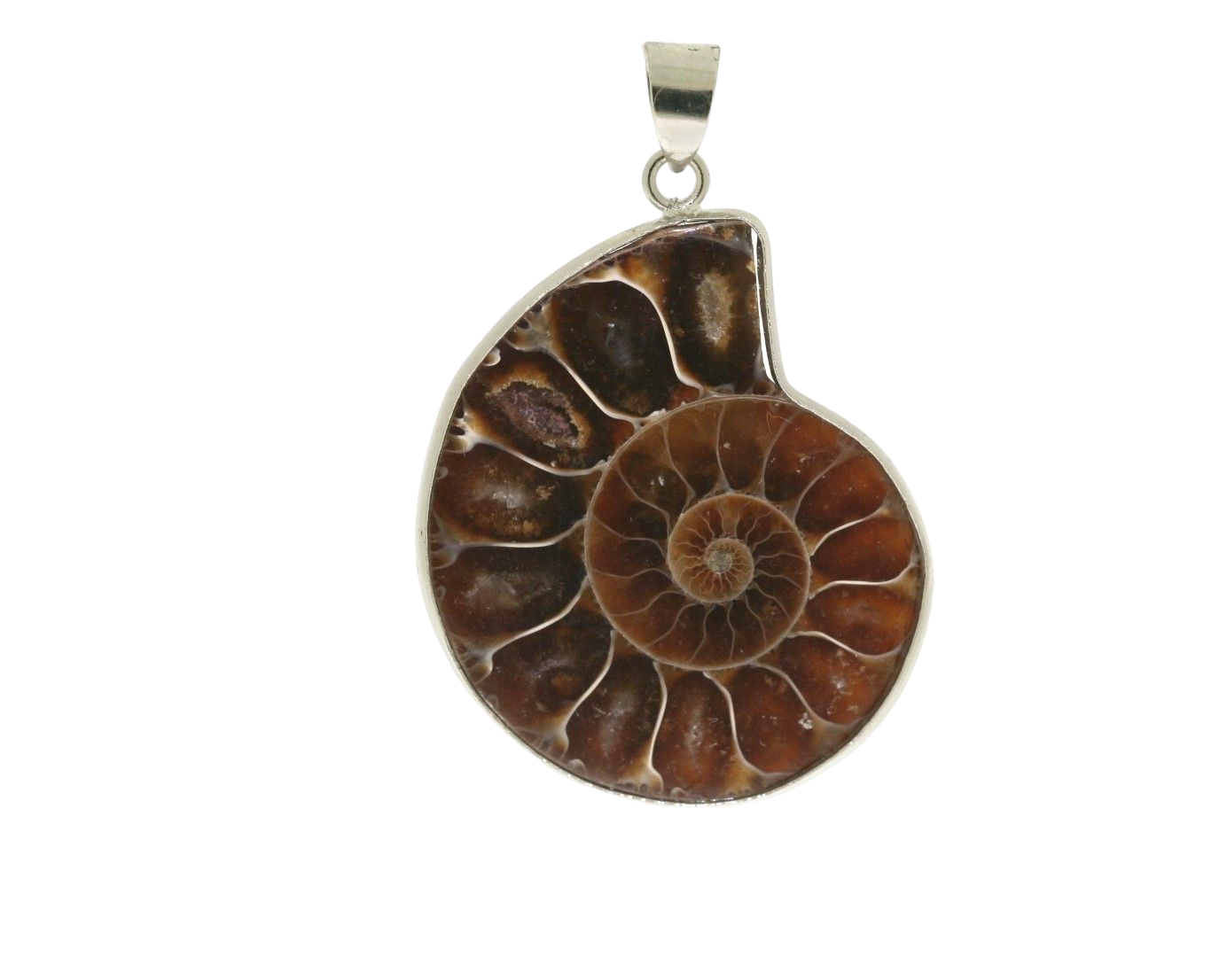 1pc Ammonite Fossil Pendant