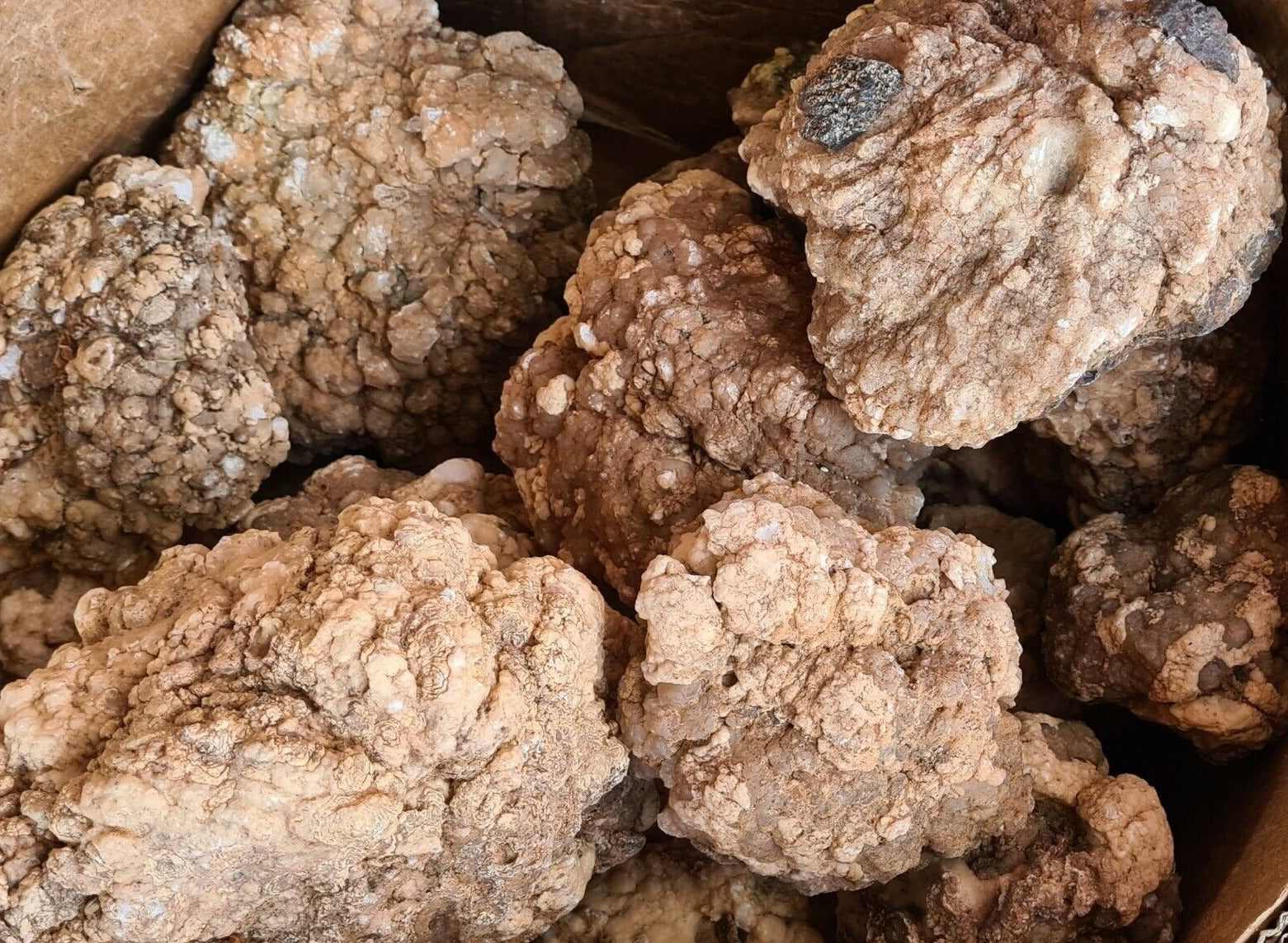 Quartz Geodes