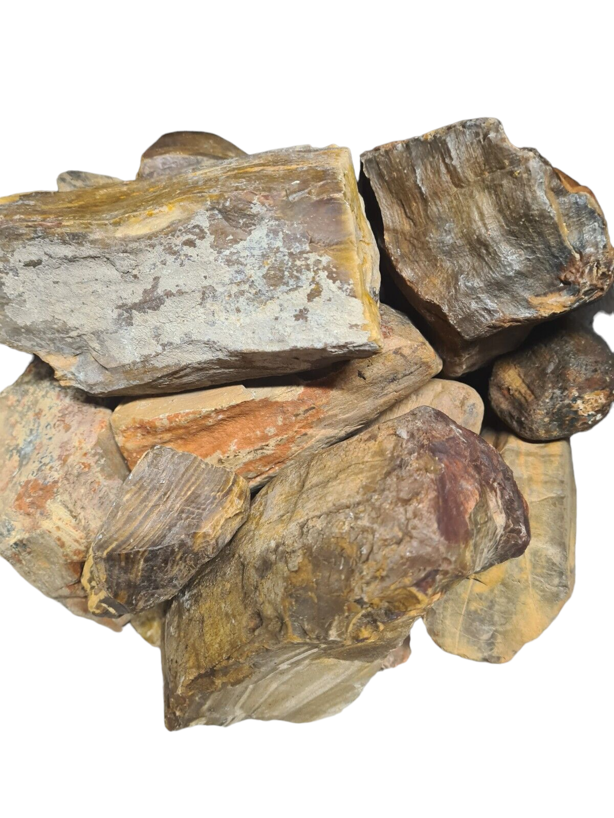 3 Kilos of Petrified Wood from Chinchilla, Qld