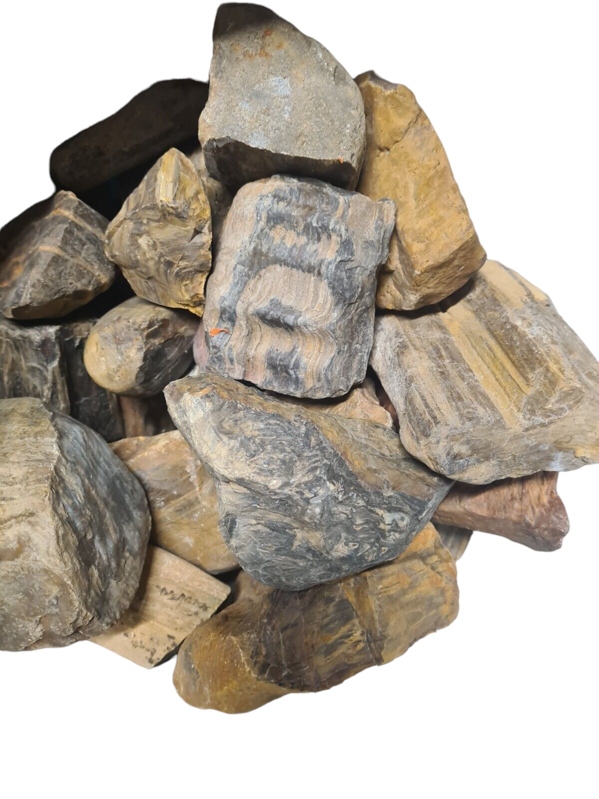 3 Kilos of Petrified Wood from Chinchilla, Qld