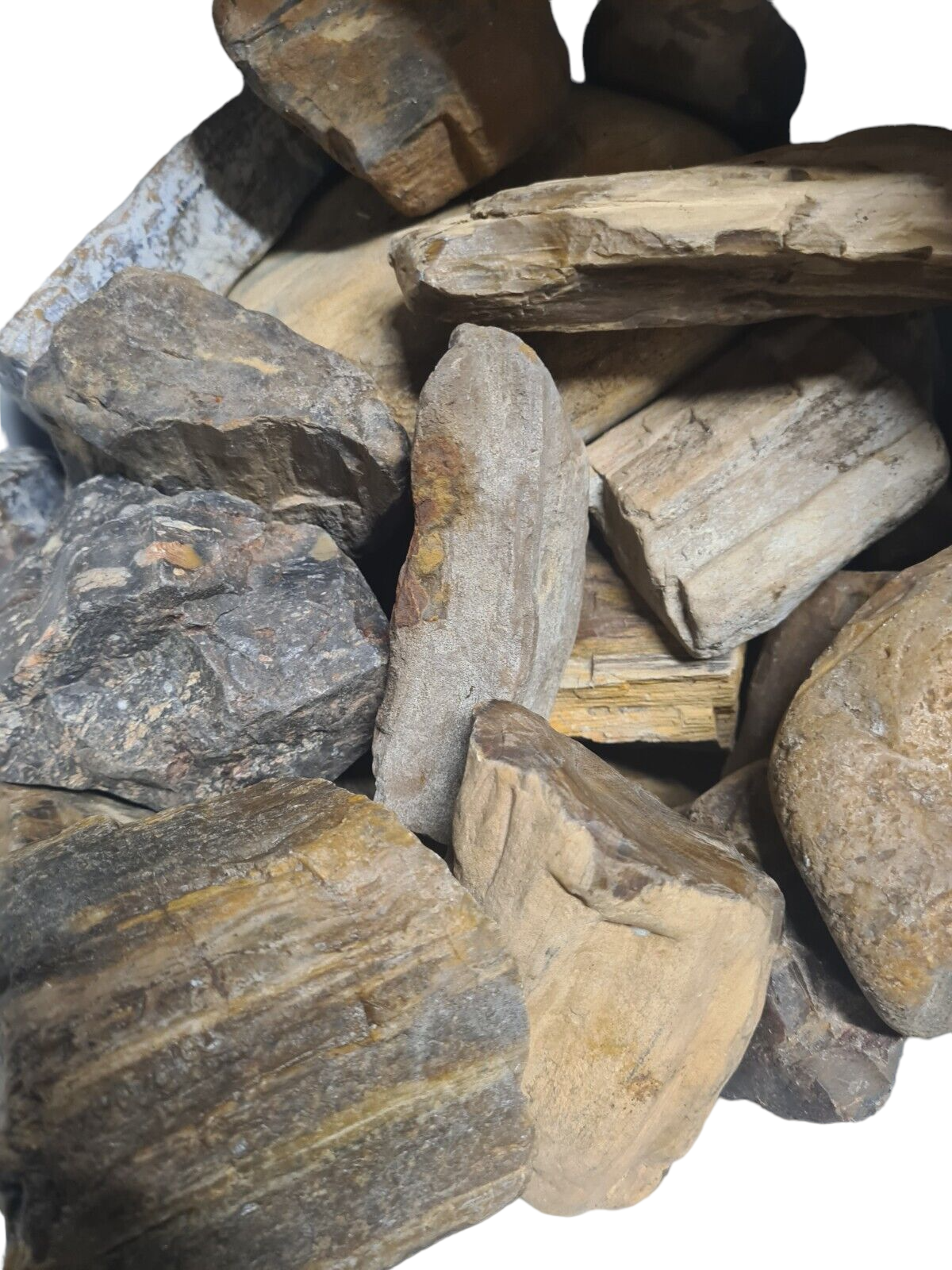 3 Kilos of Petrified Wood from Chinchilla, Qld