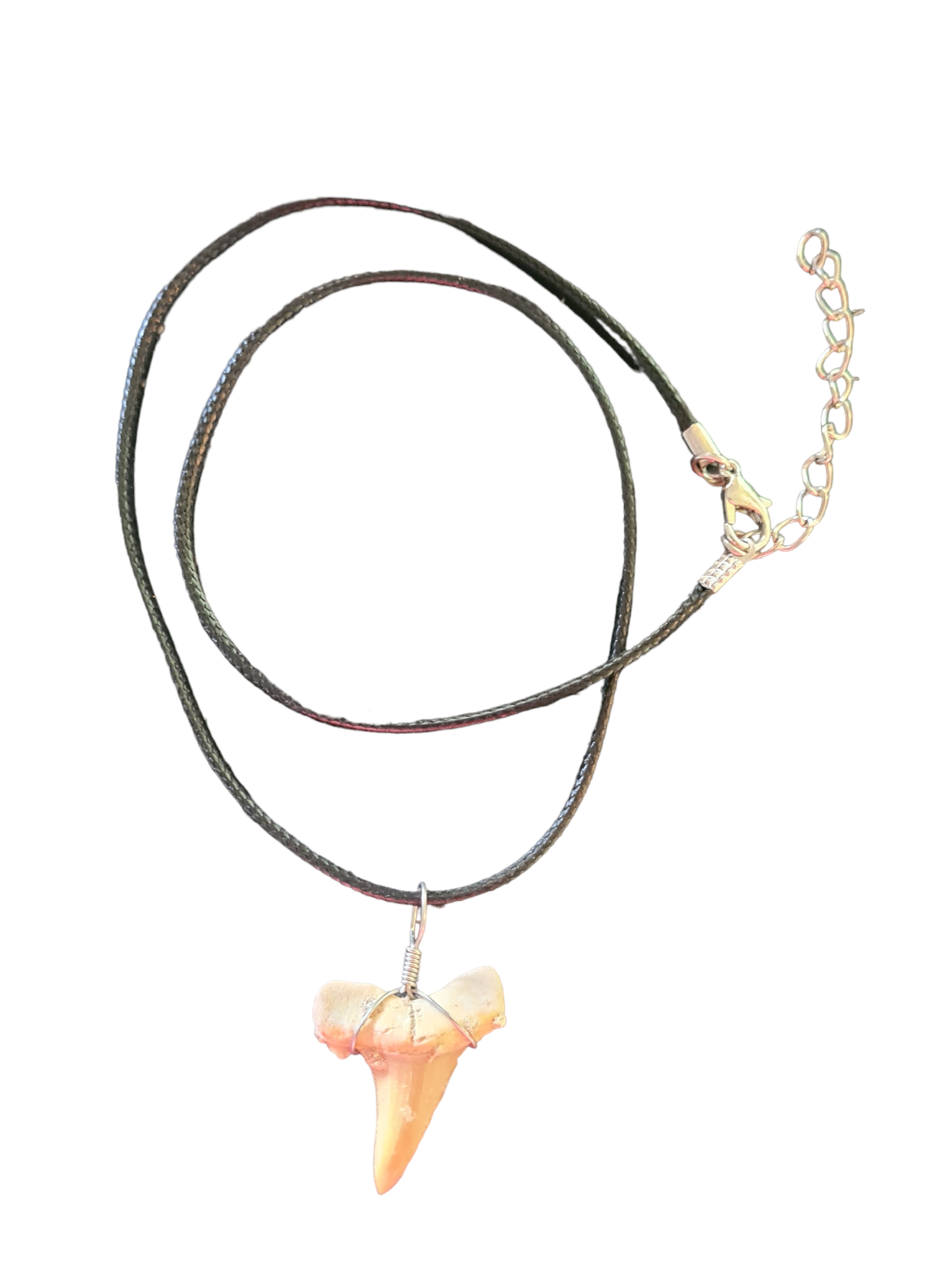 Fossil Shark Tooth Pendant