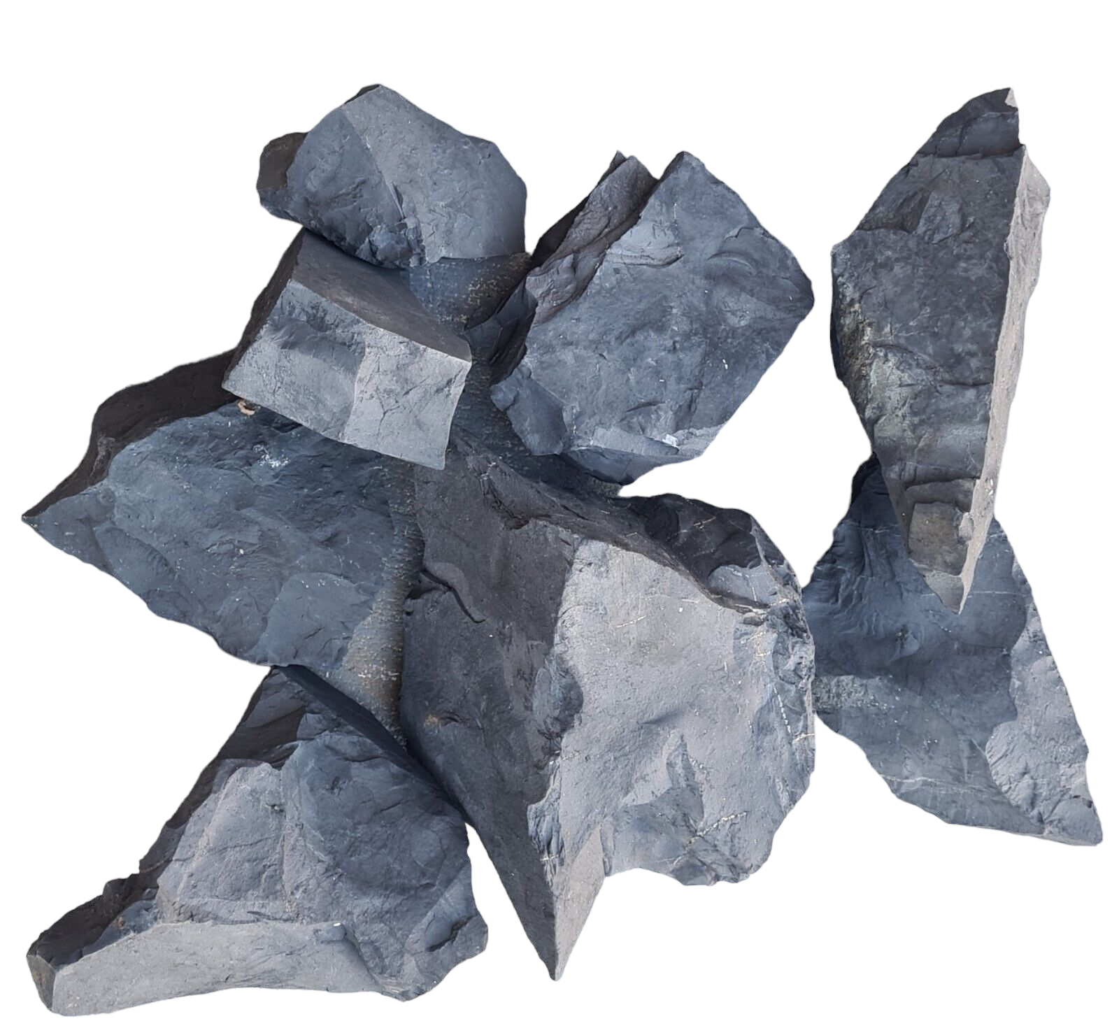 1 Kilo Shungite Rough Stones