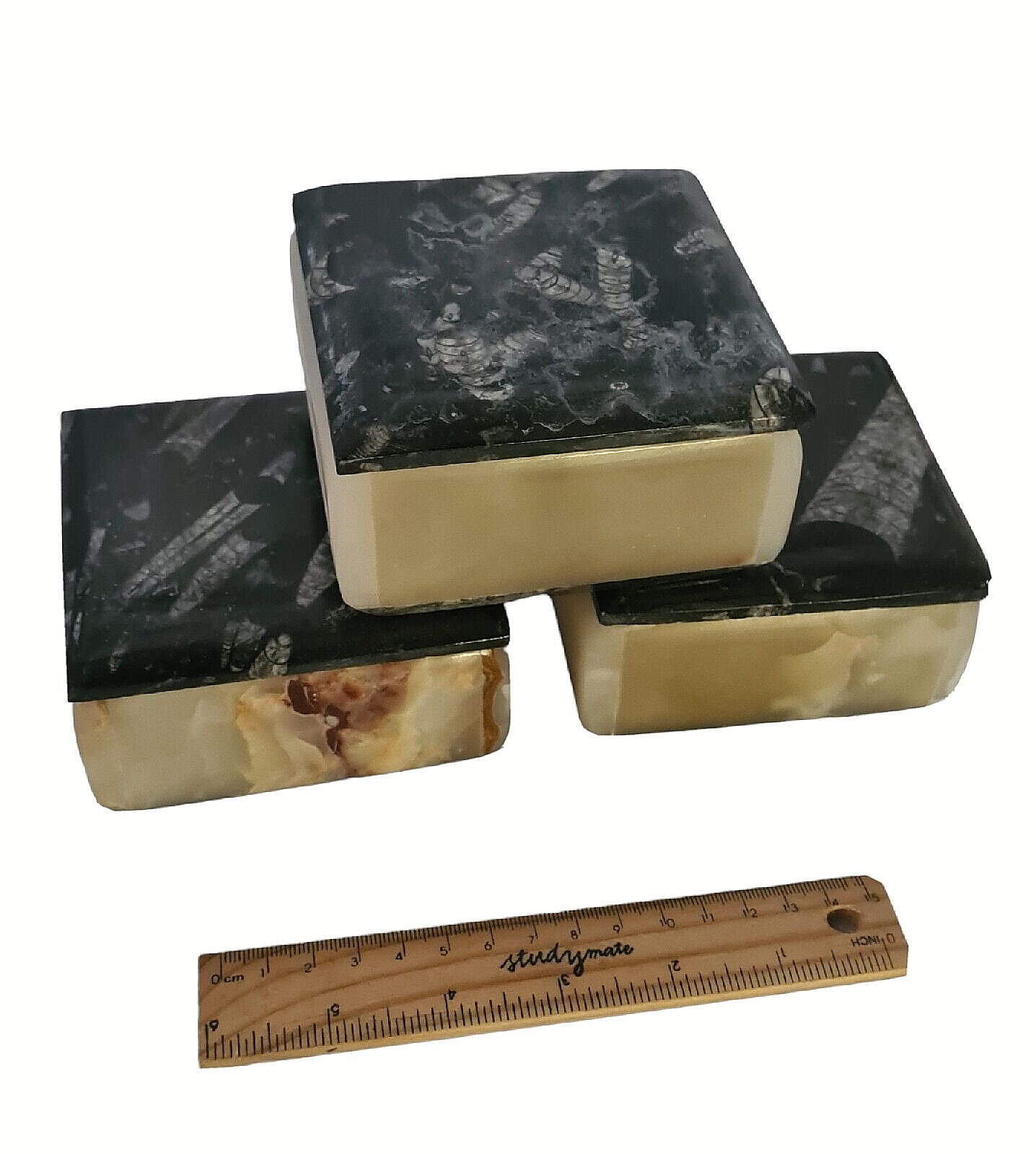 1pc 9cm Orthoceras and Goniatite Fossil Trinket Box
