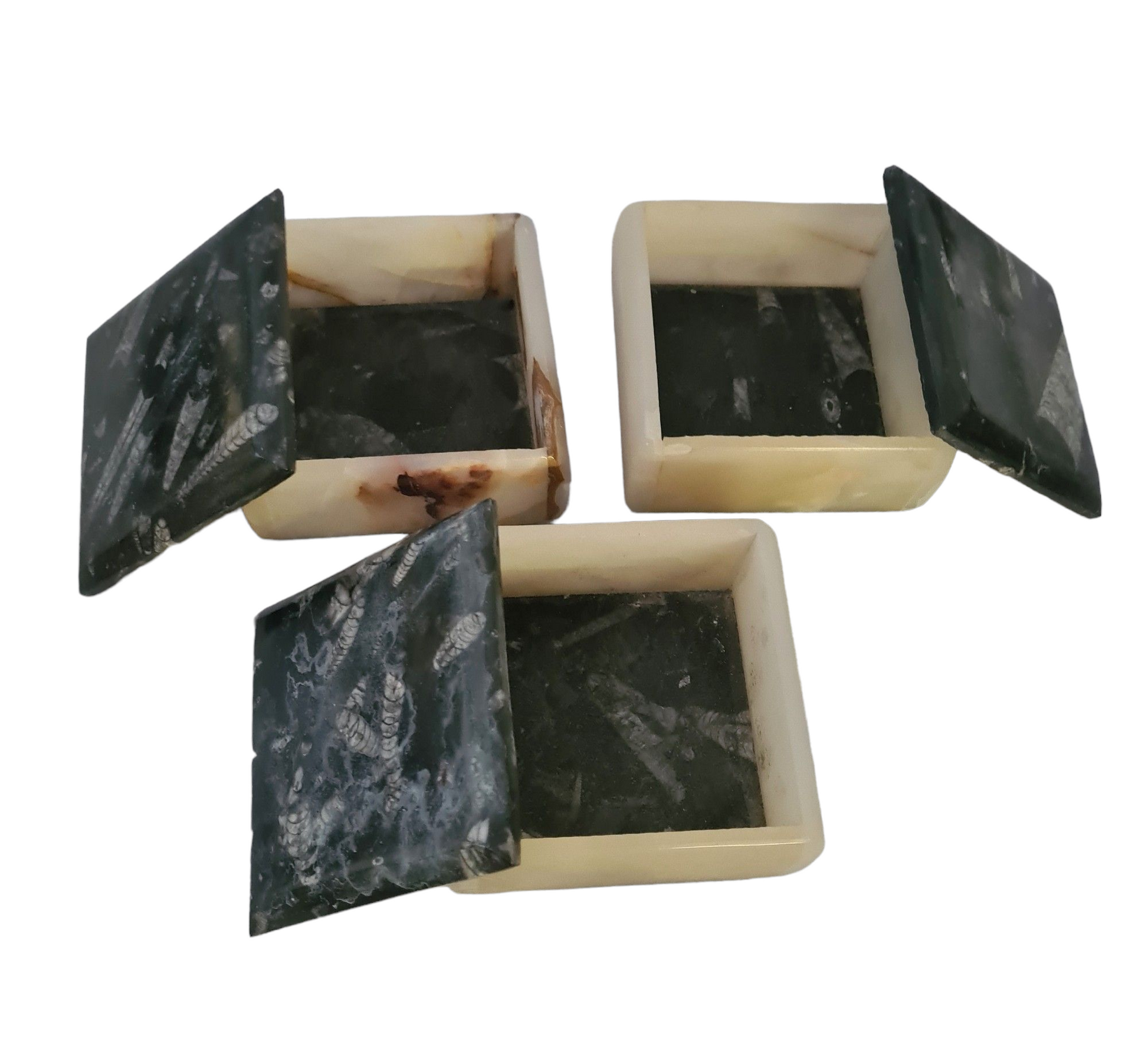 1pc 9cm Orthoceras and Goniatite Fossil Trinket Box